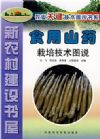 新農(nóng)村建設(shè)書屋：食用山藥栽培技術(shù)圖說