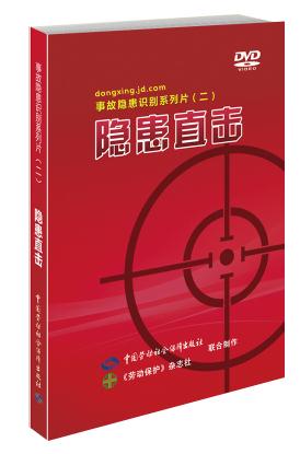 隱患直擊二 事故隱患識(shí)別系列片 2DVD光盤